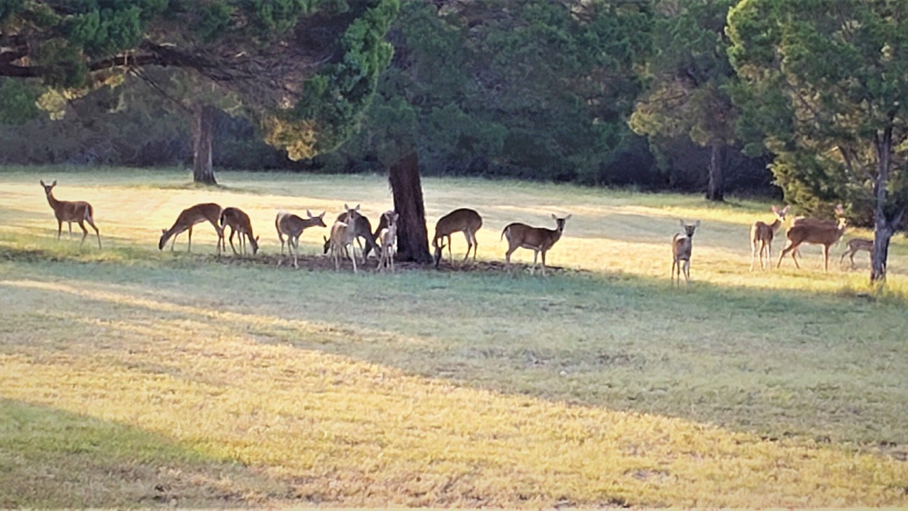 Photo of Others in Morgan