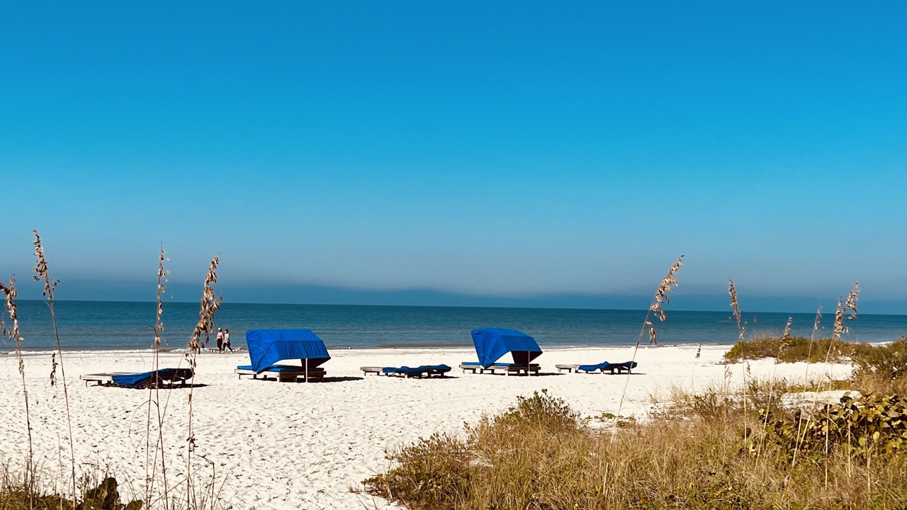 Photo of Others in Indian Shores