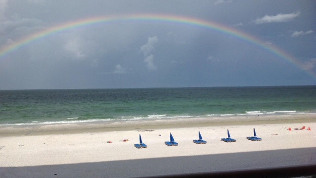 Photo of Others in Indian Shores