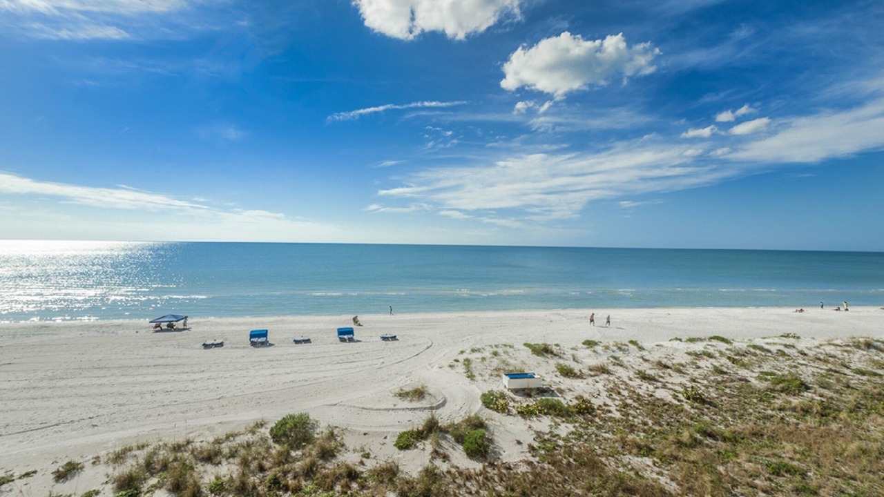 Photo of Others in Indian Shores