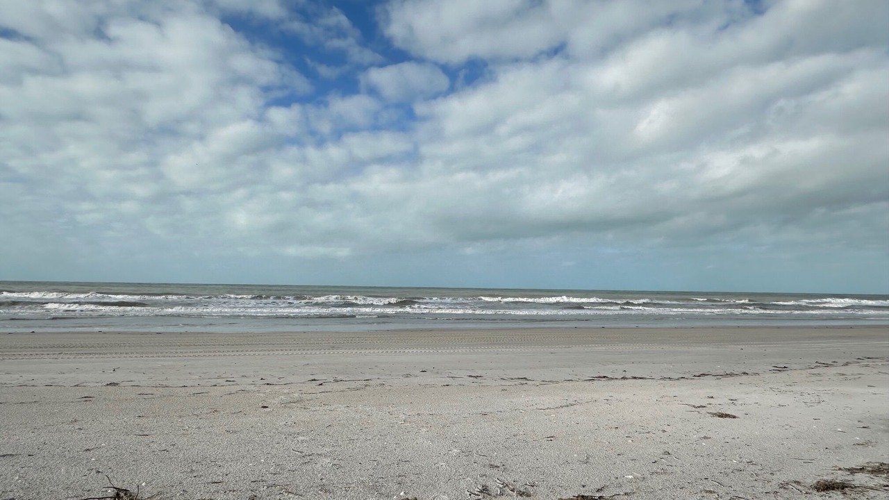 Photo of Others in Indian Shores