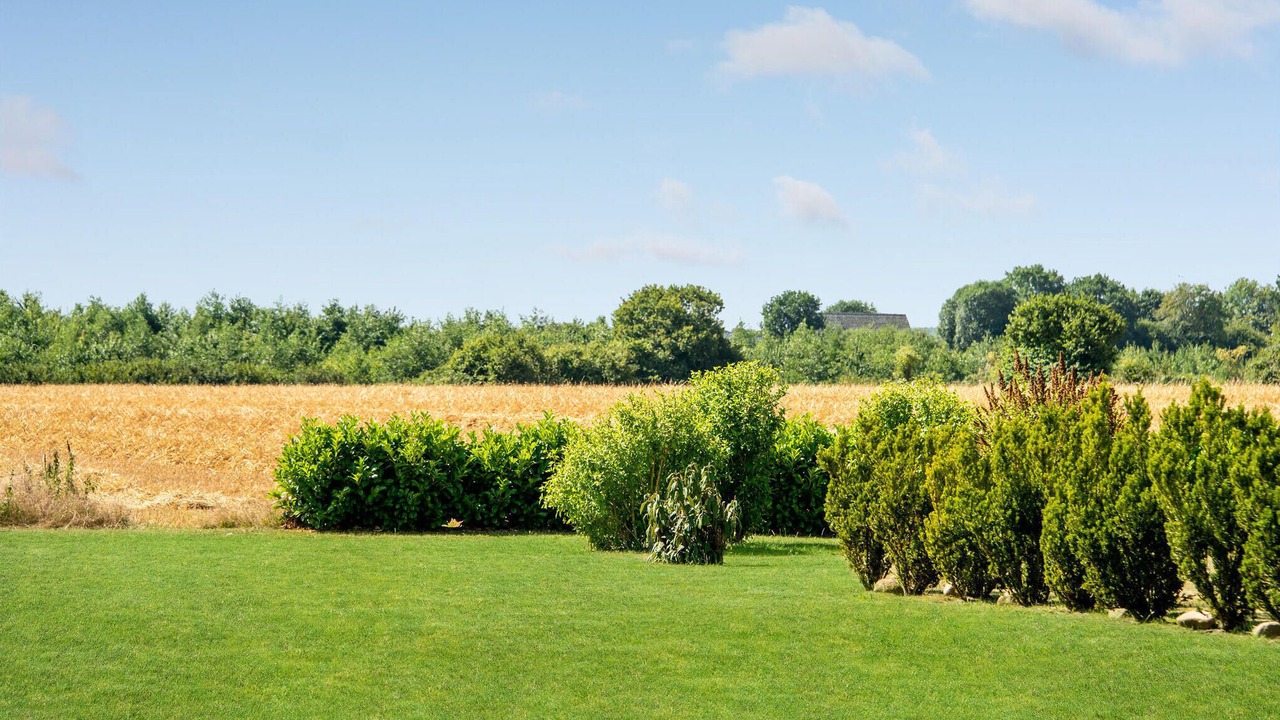 Photo of Others in Fynshav