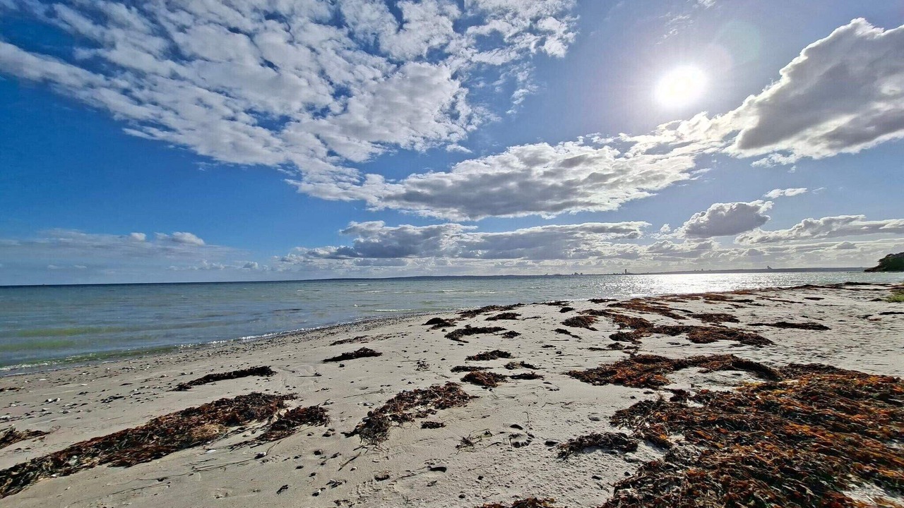 Photo of Others in Skødshoved Strand
