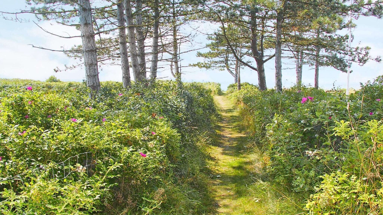 Photo of Outdoor in Skødshoved Strand