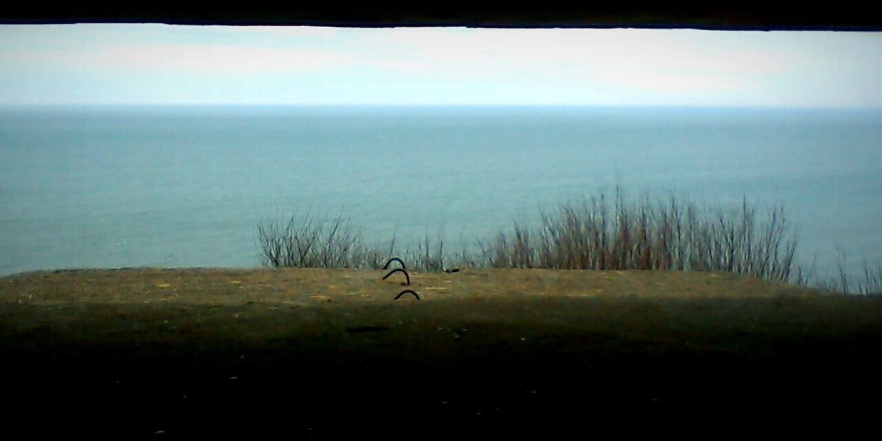 Photo of Others in Agy