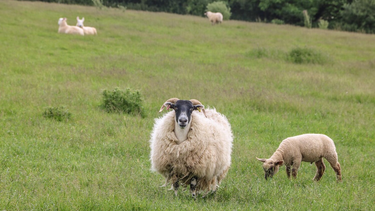 Photo of Outdoor in Grampound