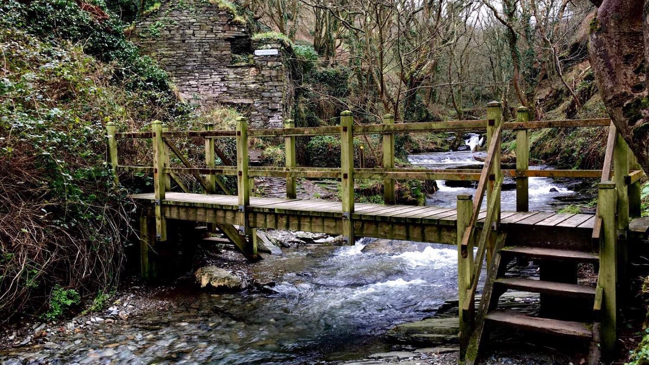 Photo of Others in Delabole