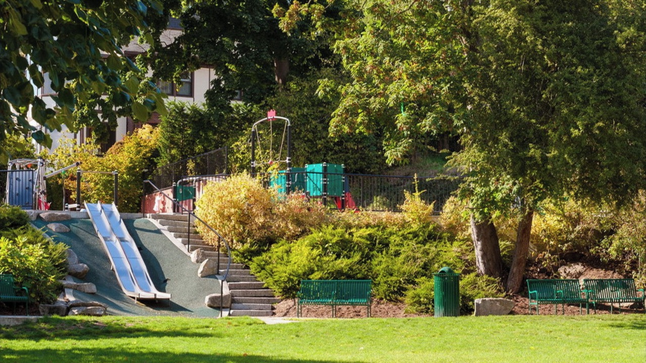 Photo of Others in Lower Queen Anne