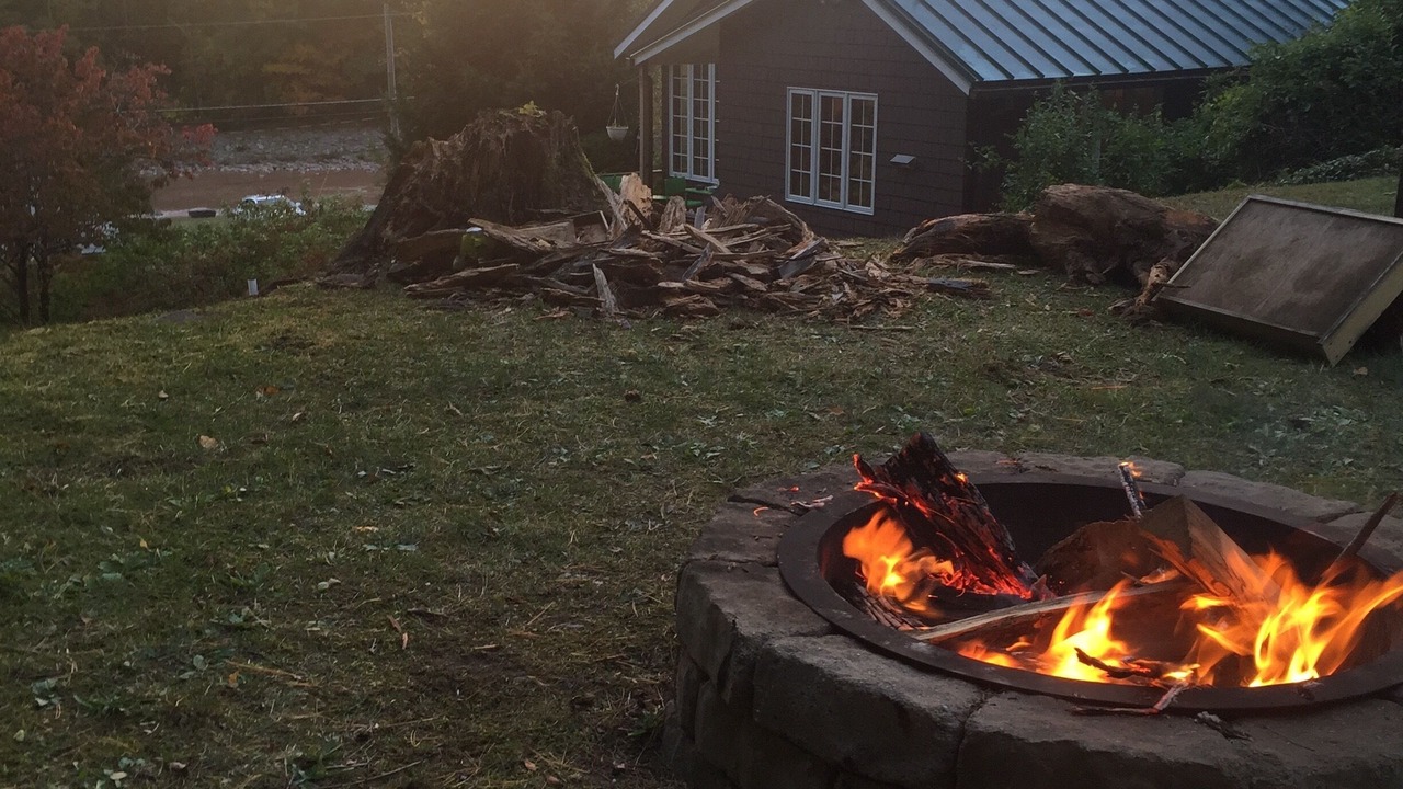 Photo of Others in Phoenicia