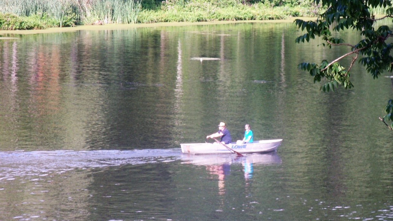 Photo of Others in Bradford