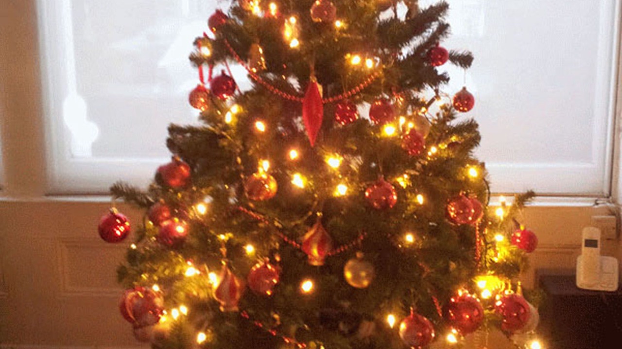 Photo of Others in Brownswood