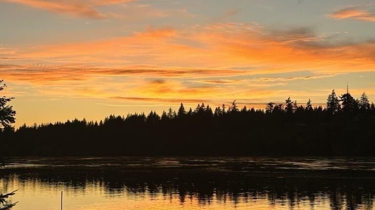 Photo of Others in Shelton