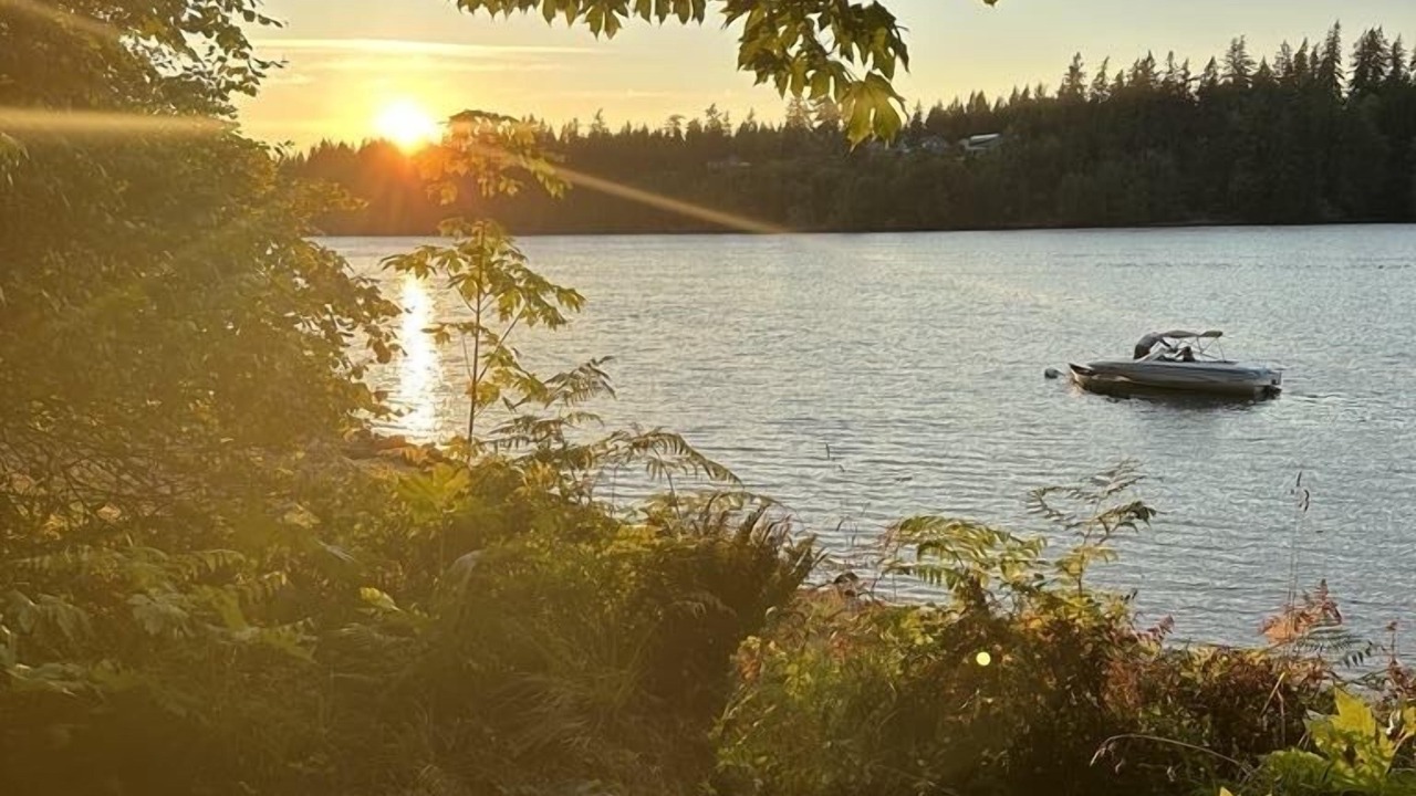 Photo of Others in Shelton