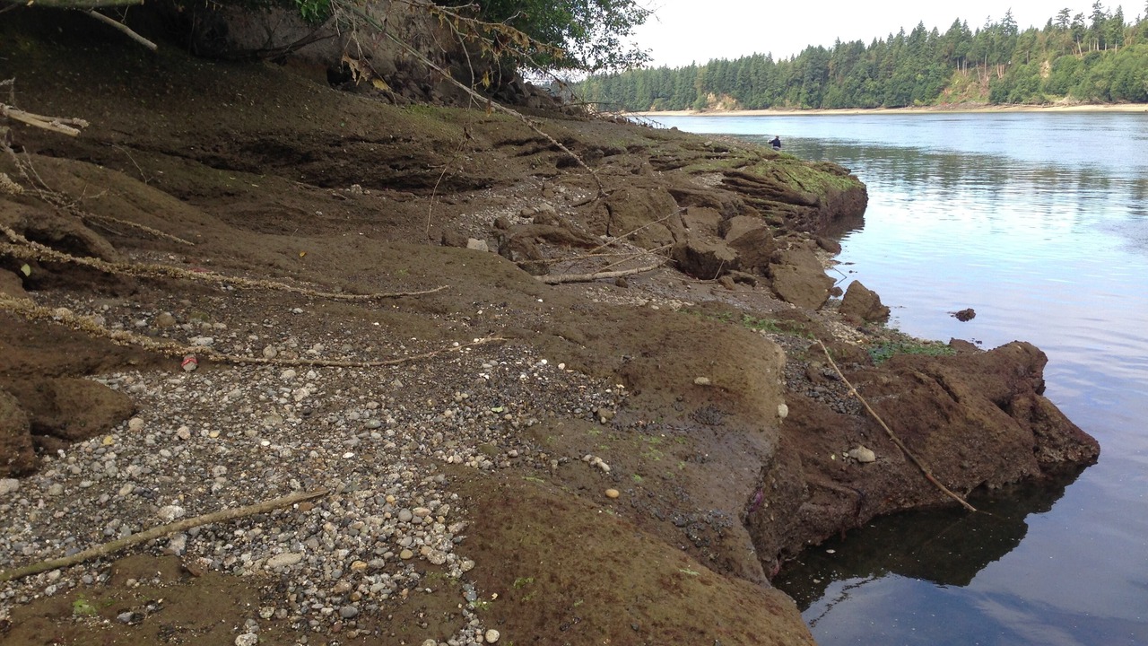 Photo of Others in Shelton