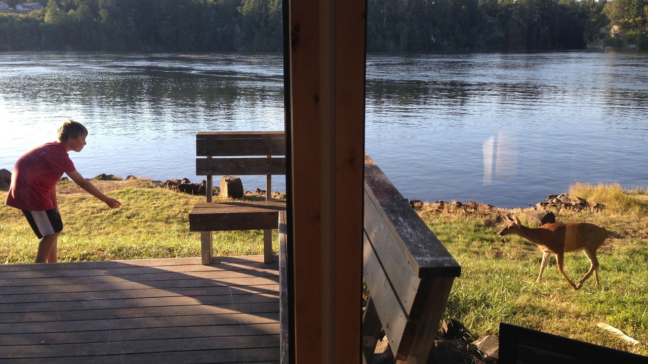 Photo of Others in Shelton