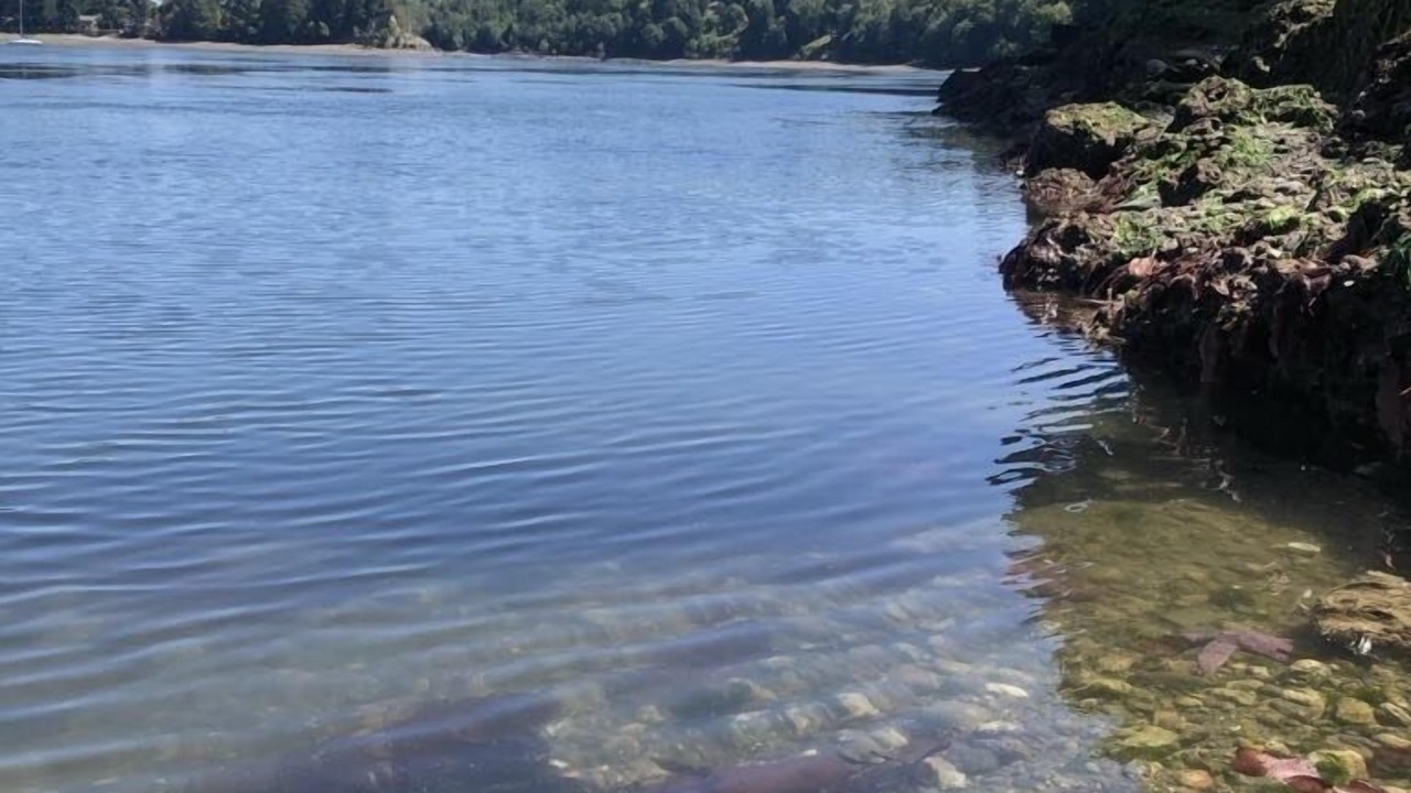 Photo of Others in Shelton