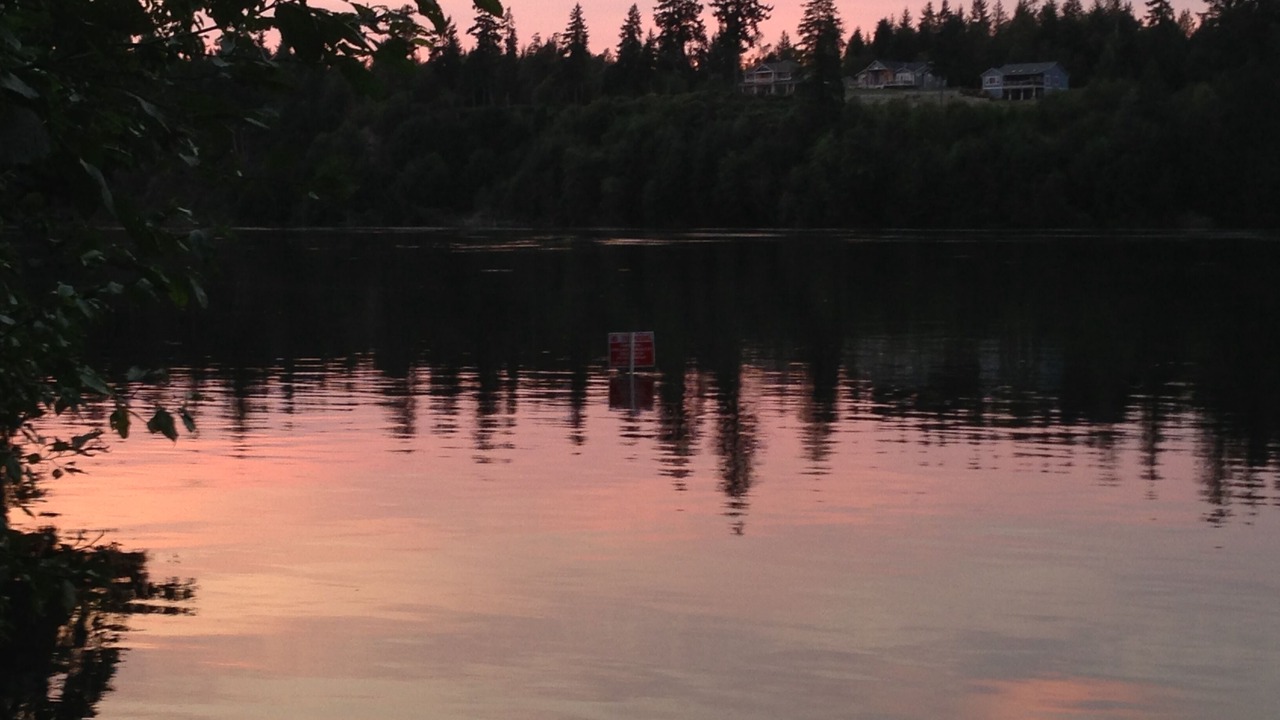 Photo of Others in Shelton