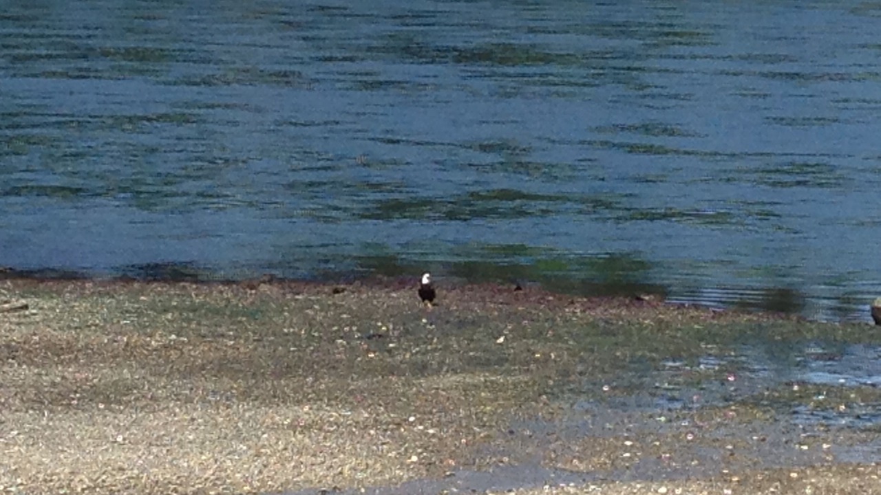 Photo of Others in Shelton