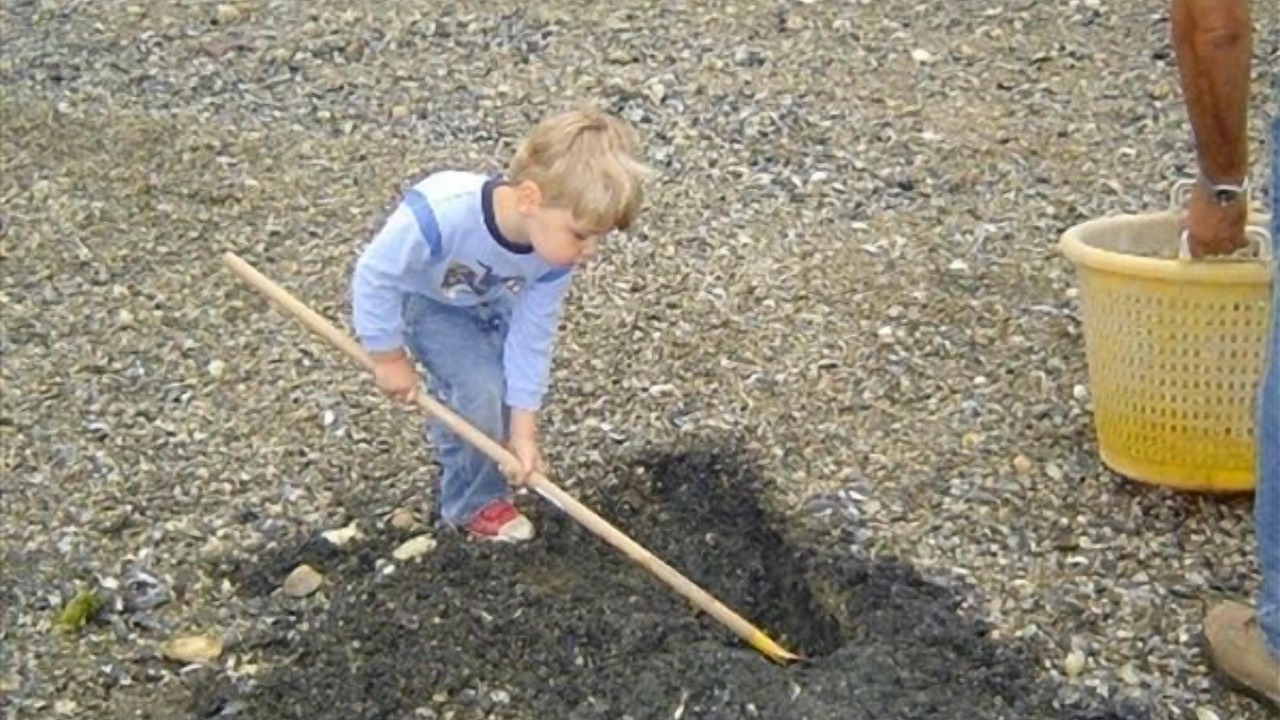 Photo of Others in Shelton