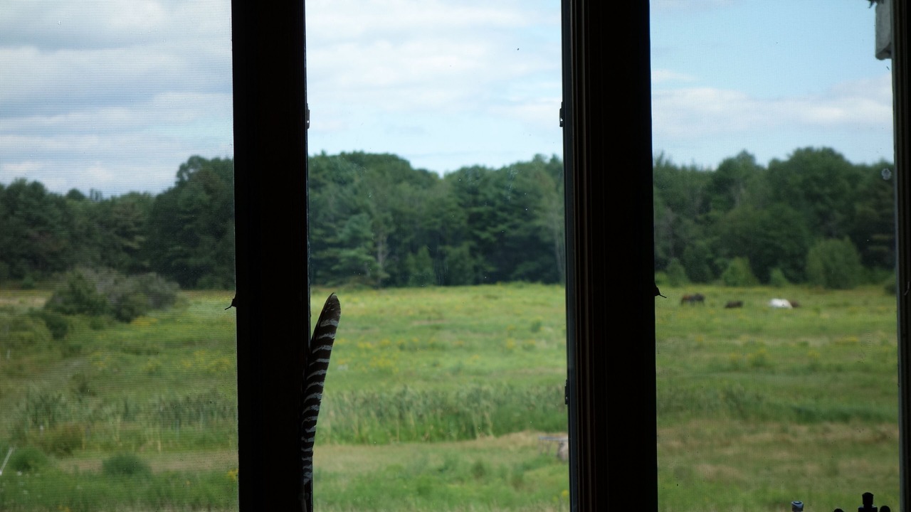 Photo of Others in Biddeford