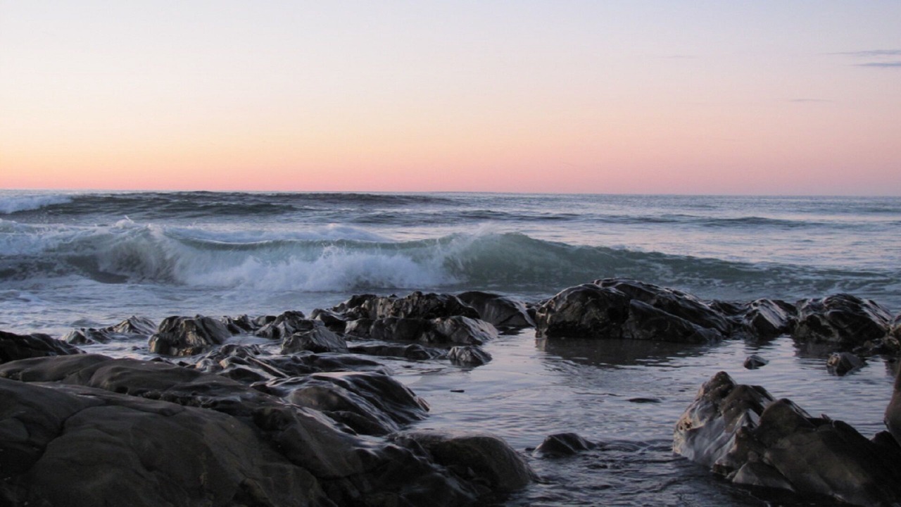 Photo of Others in Biddeford