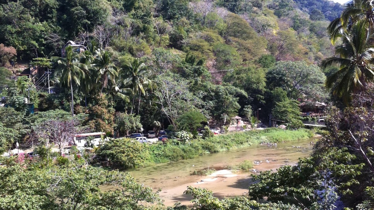 Photo of Others in Boca de Tomatlan