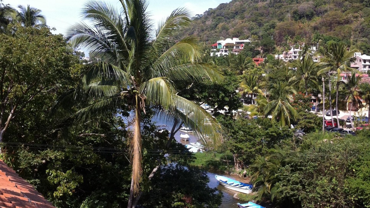 Photo of Others in Boca de Tomatlan