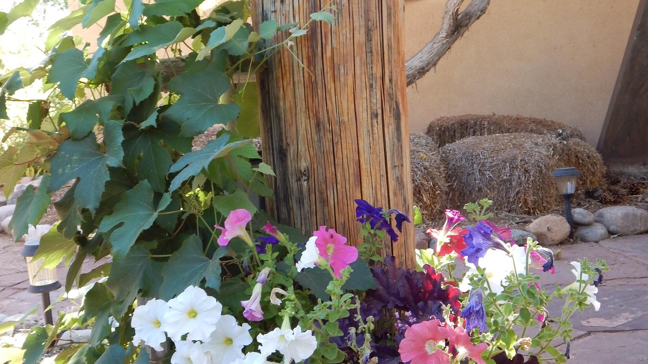 Photo of Others in Santa Fe