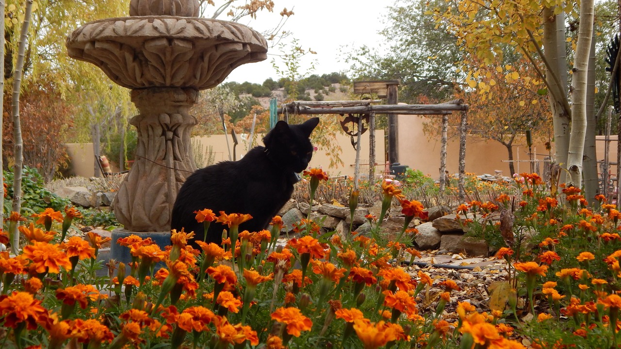 Photo of Others in Santa Fe