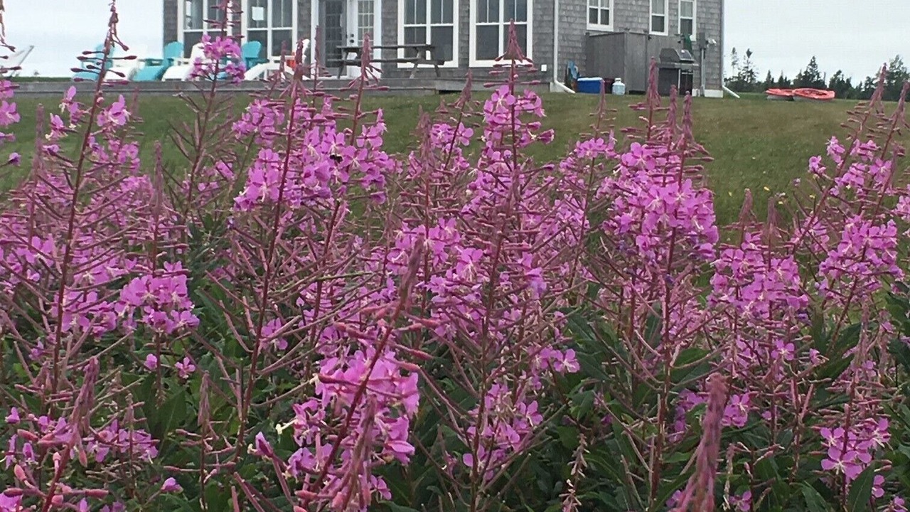 Photo of Others in Augustine Cove