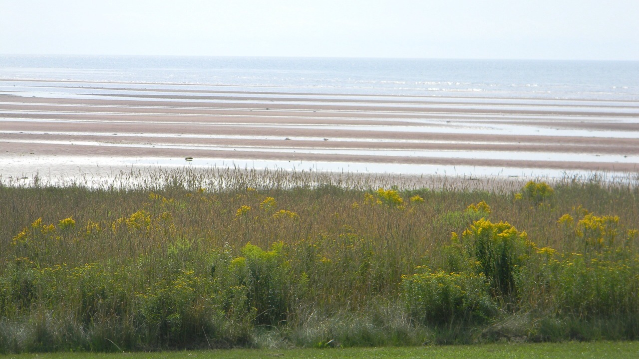 Photo of Others in Augustine Cove