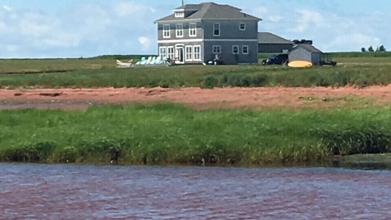 Photo of Others in Augustine Cove