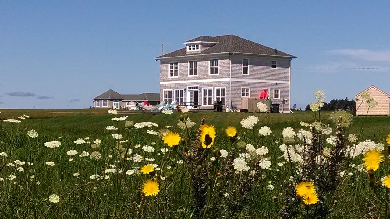 Photo of Others in Augustine Cove