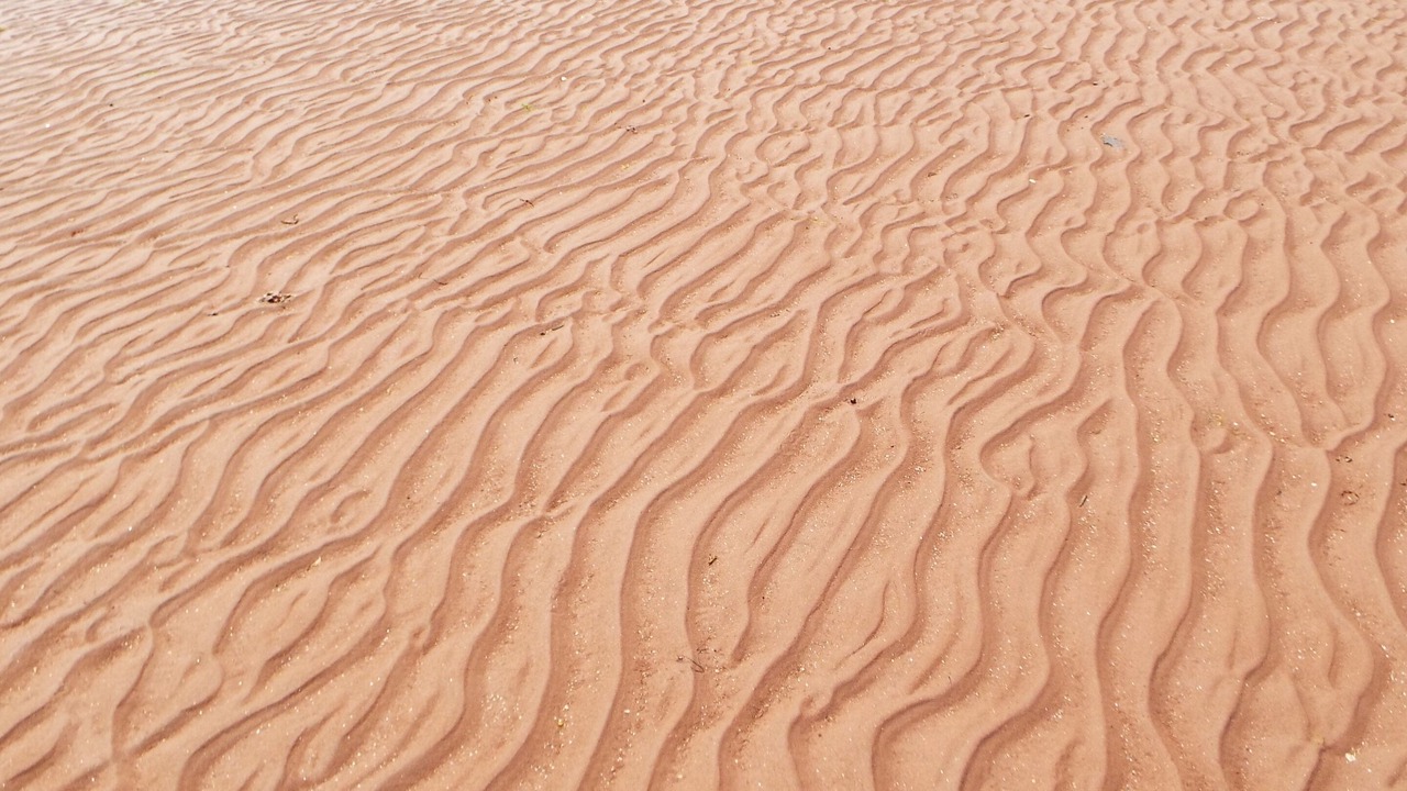 Photo of Others in Augustine Cove