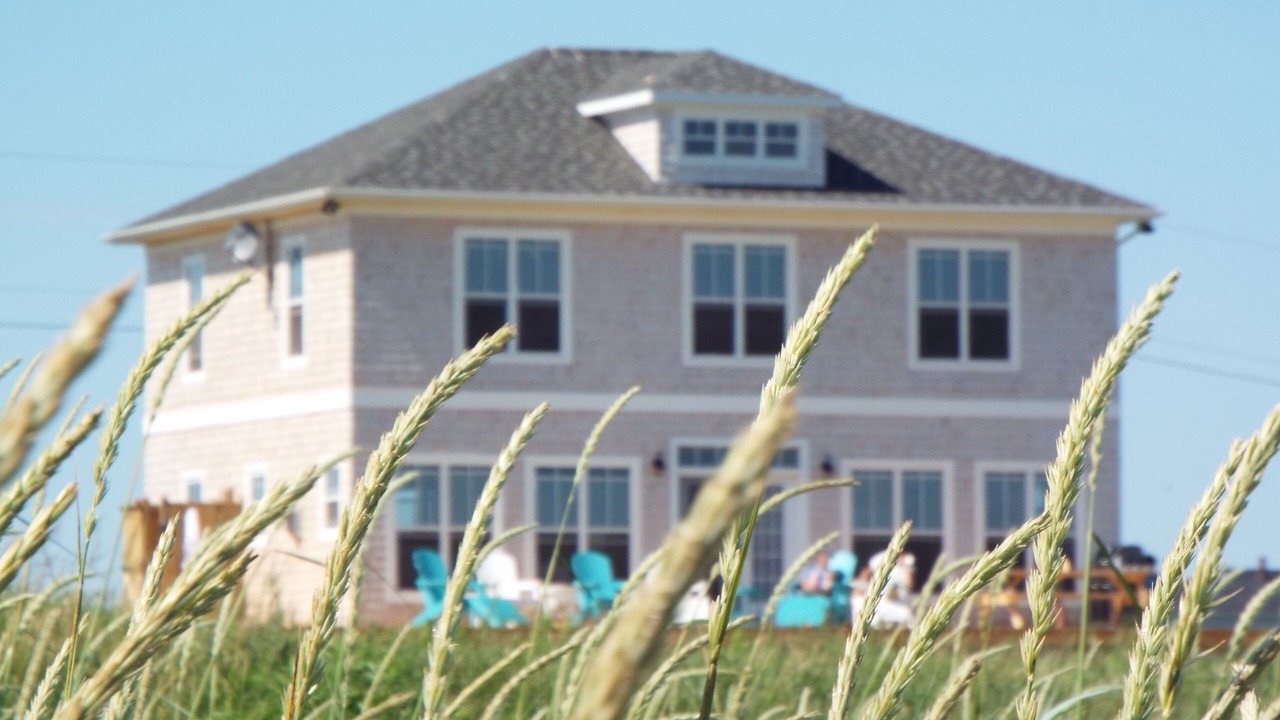 Photo of Others in Augustine Cove