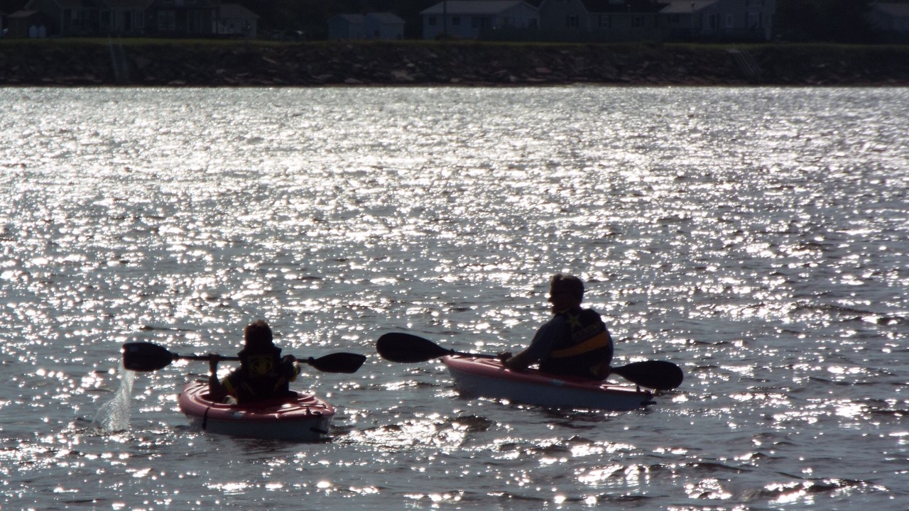 Photo of Others in Augustine Cove
