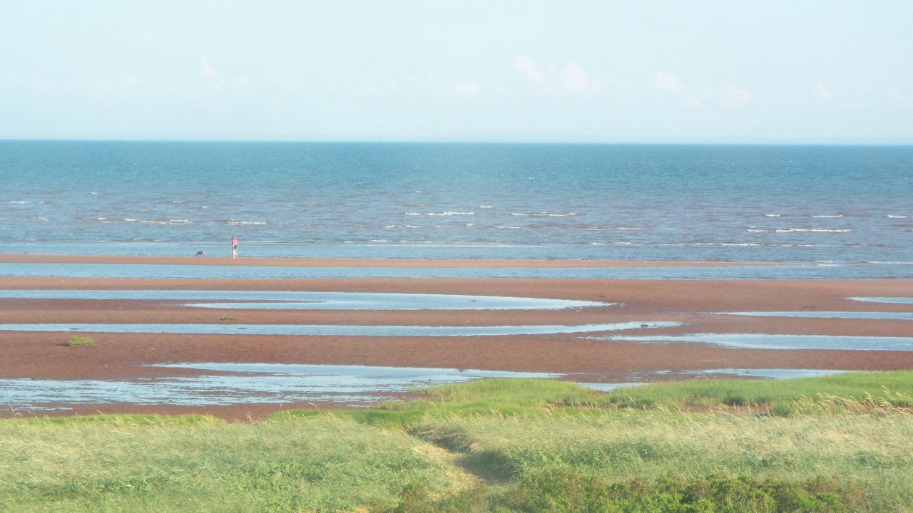 Photo of Others in Augustine Cove