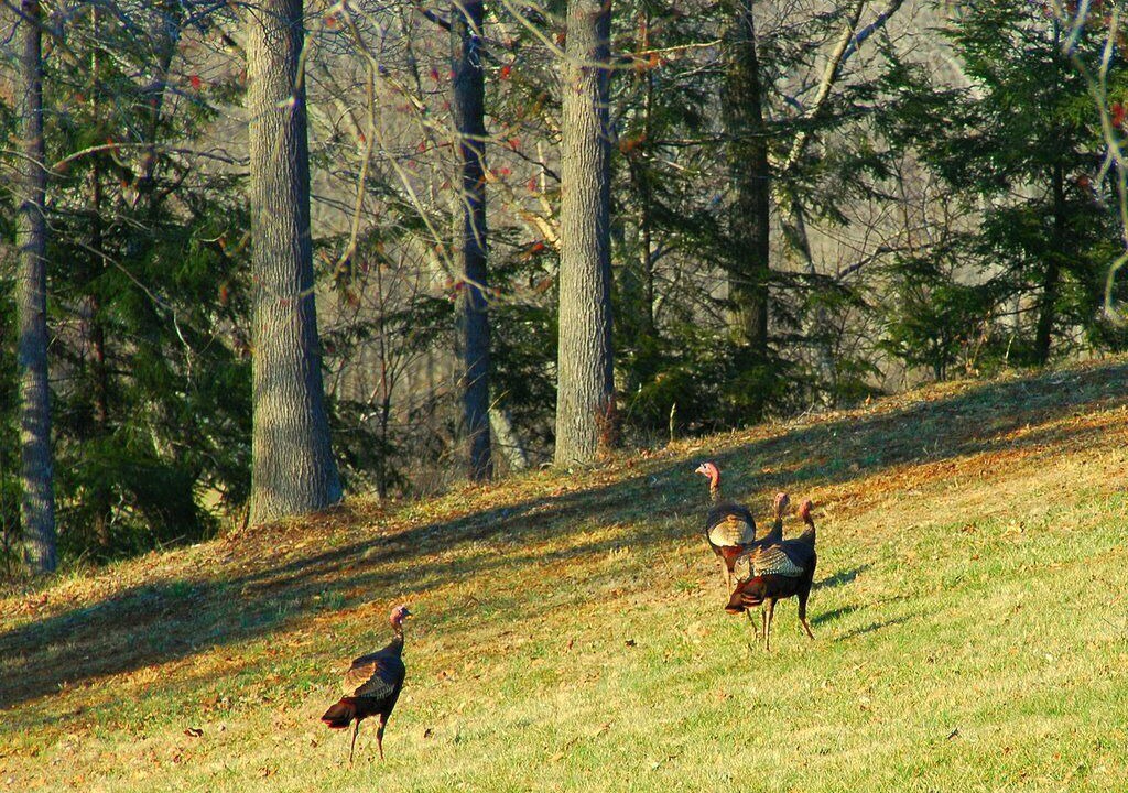 Photo of Others in Arrington