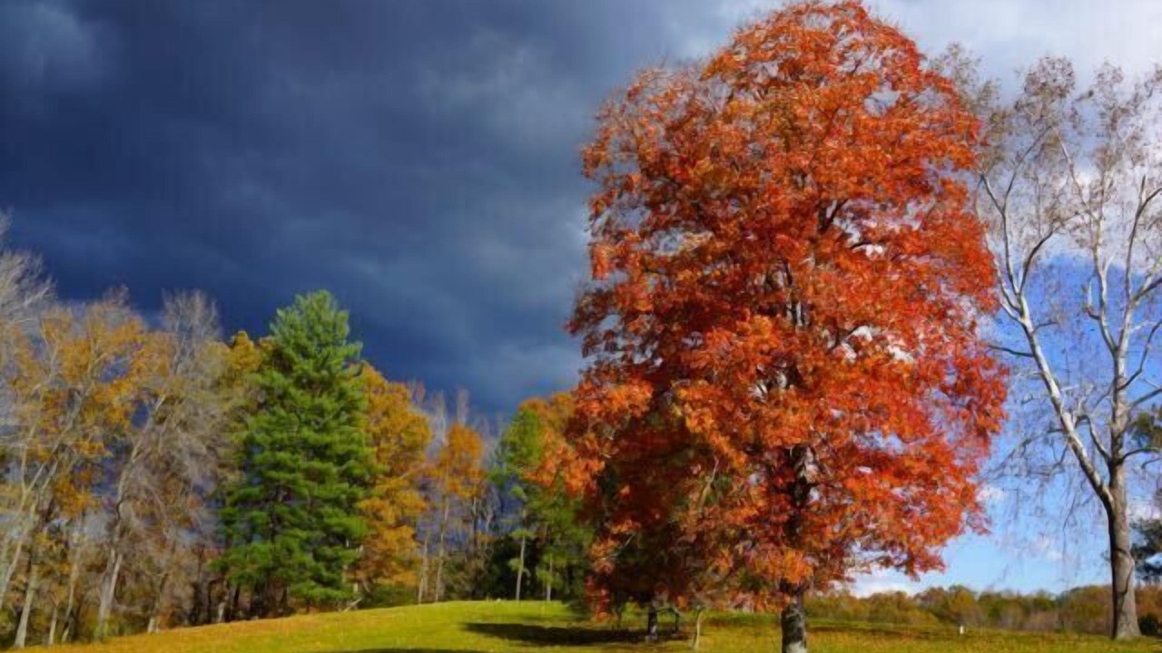 Photo of Others in Arrington