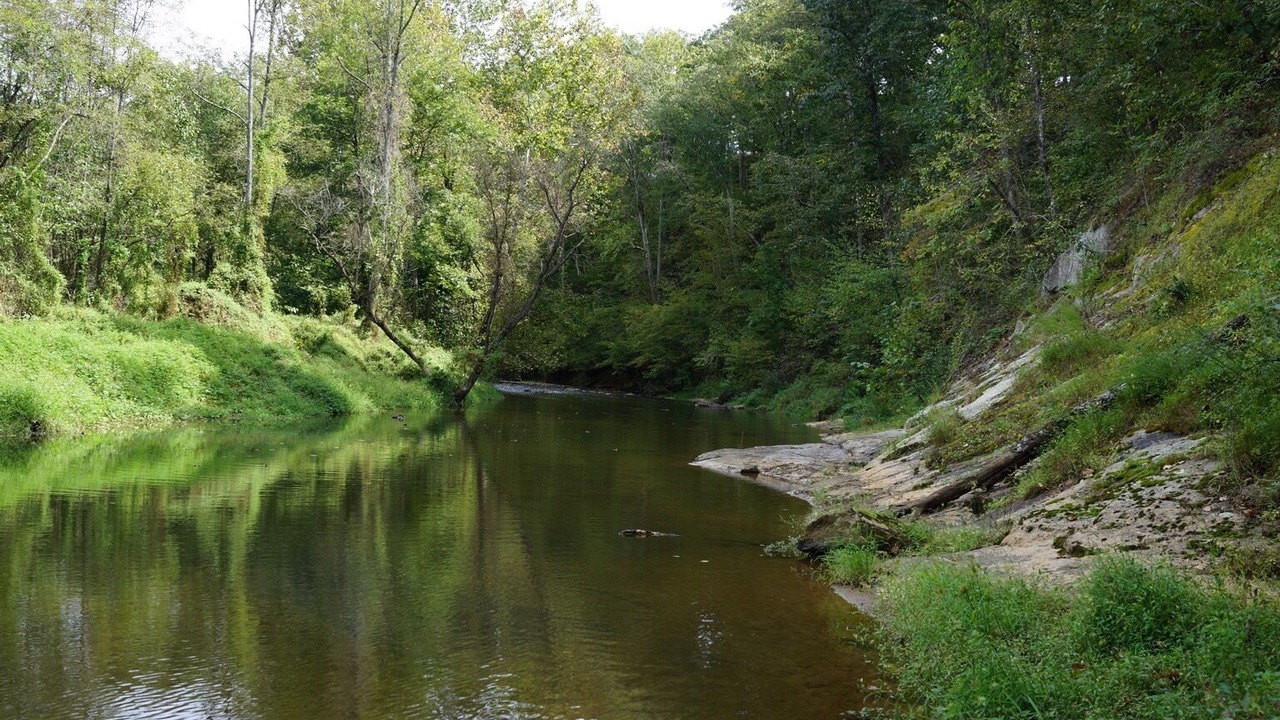 Photo of Others in Arrington