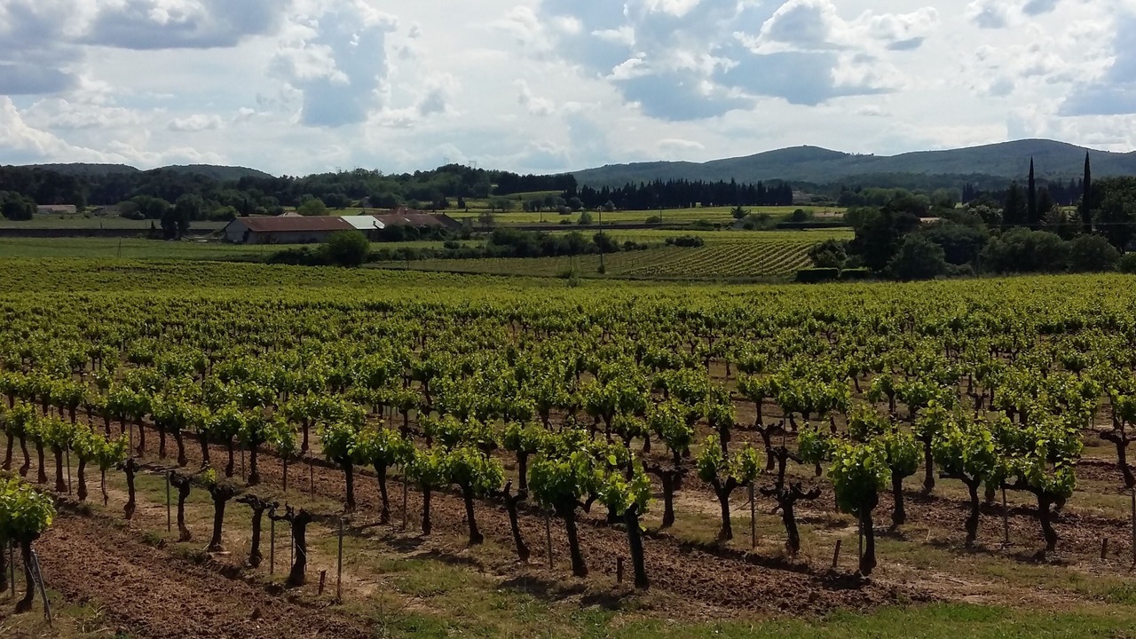 Photo of Outdoor in Pont-Saint-Esprit