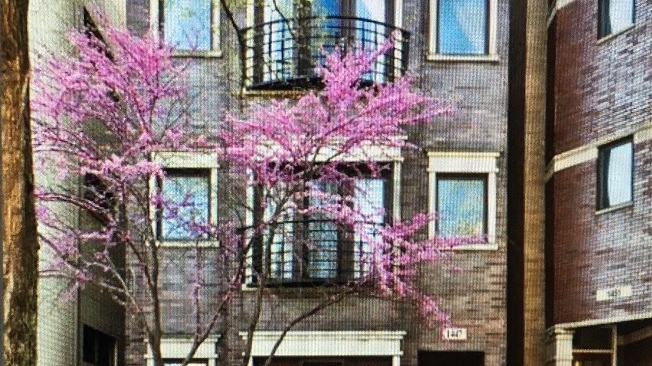 Photo of Others in Noble Square