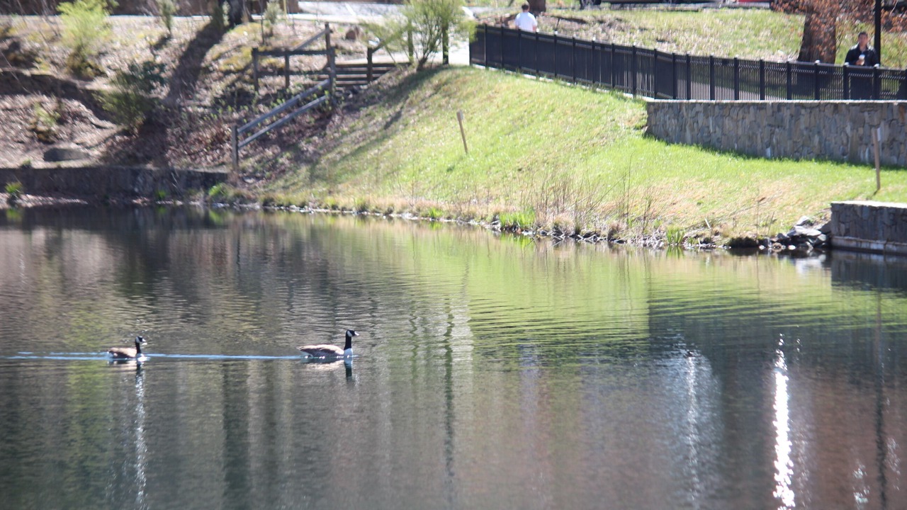 Photo of Outdoor in Montreat