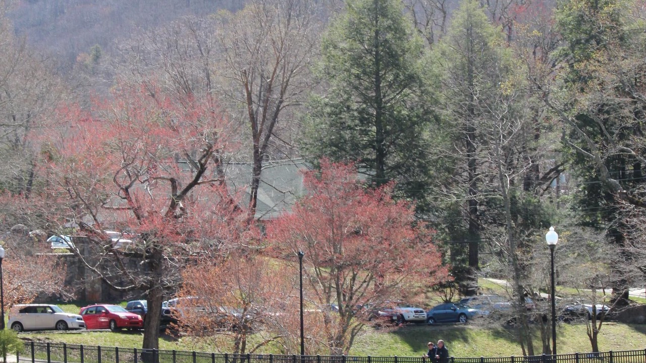 Photo of Outdoor in Montreat
