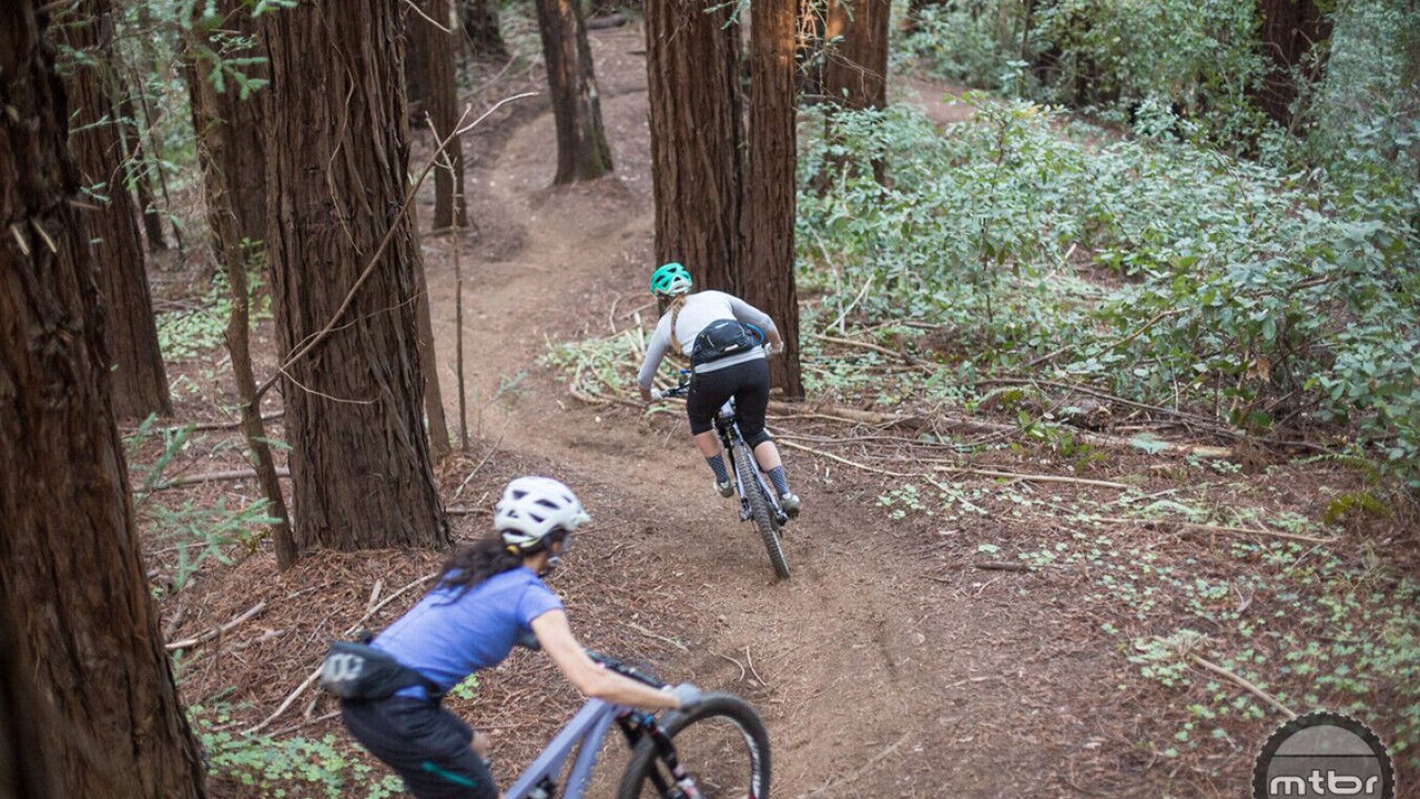 Photo of Others in Westside Santa Cruz