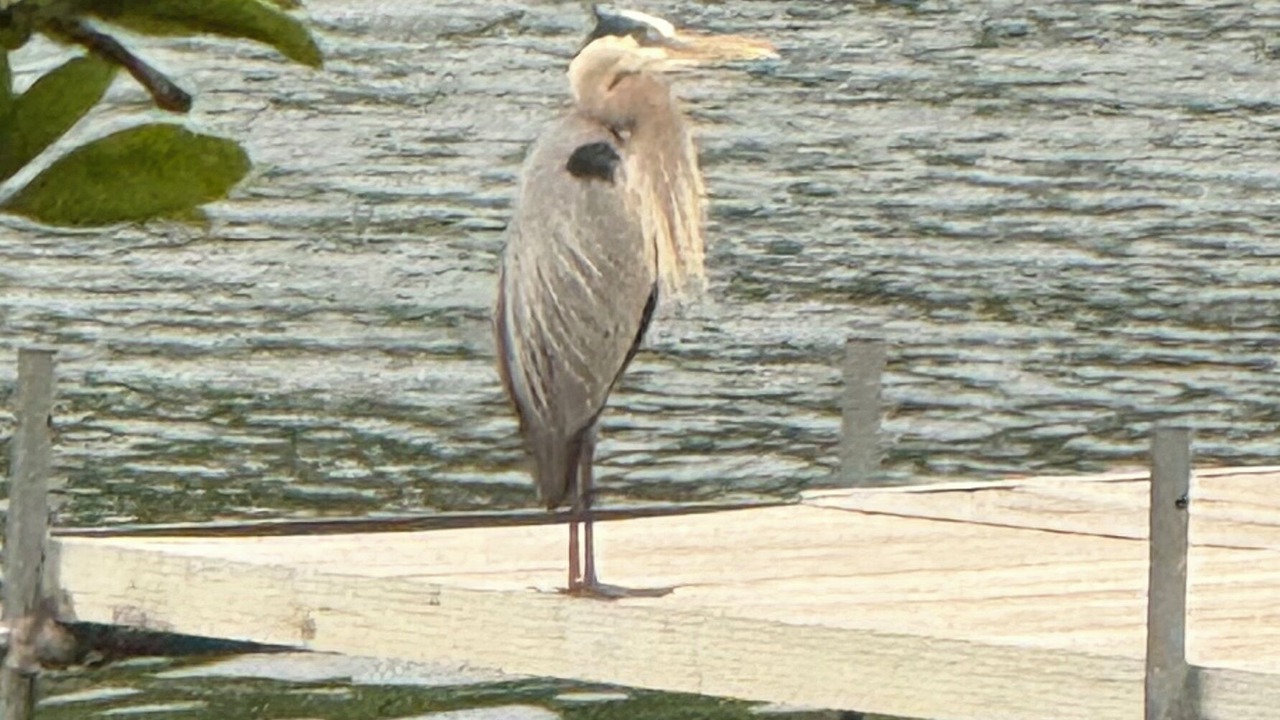 Photo of Others in Angola