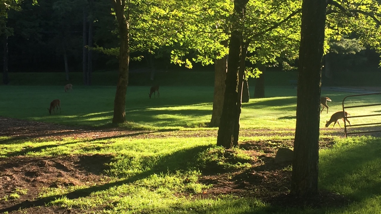 Photo of Others in Lake Harmony