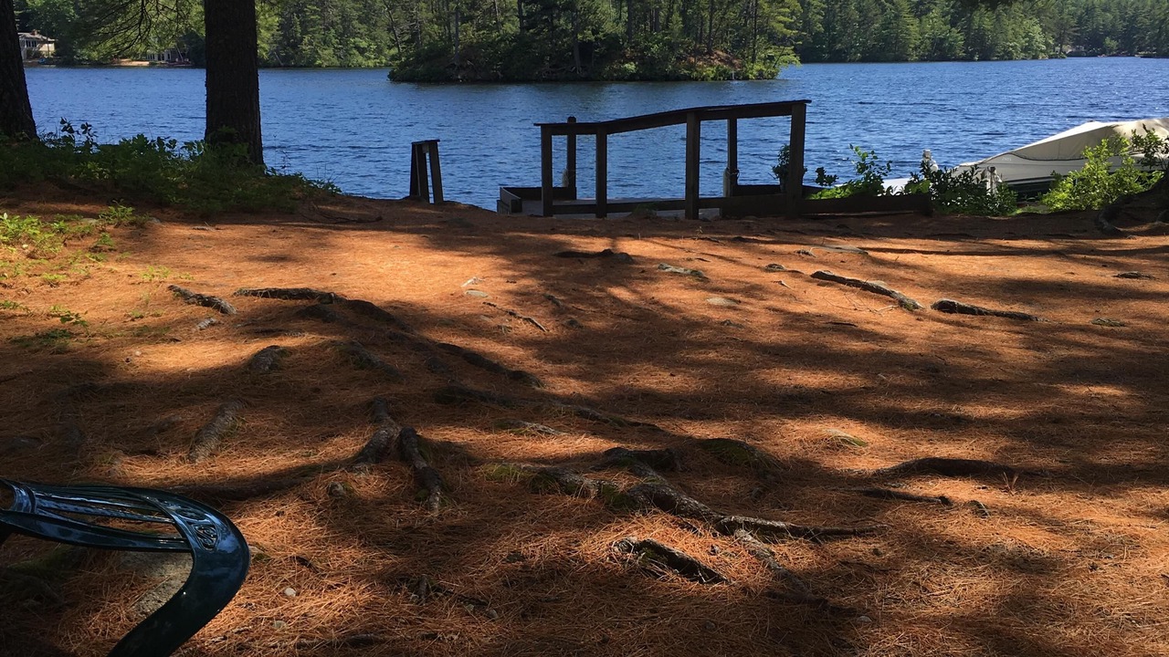 Photo of Others in West Newfield