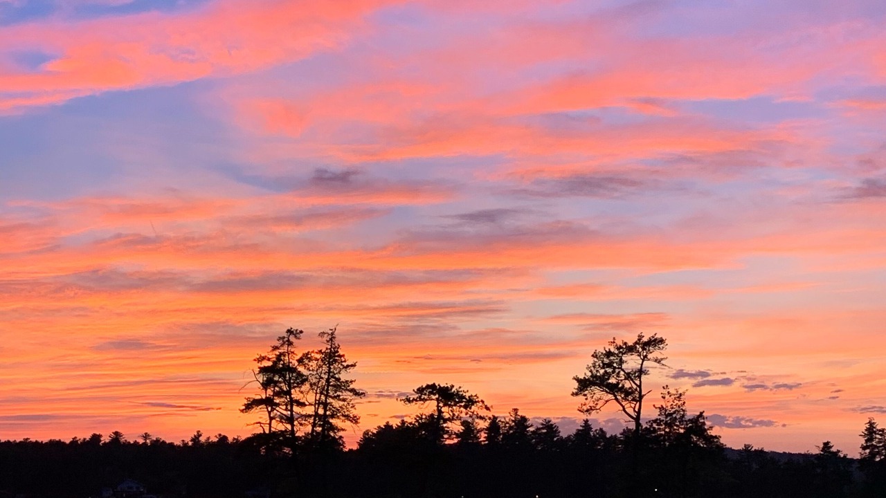 Photo of Outdoor in West Newfield