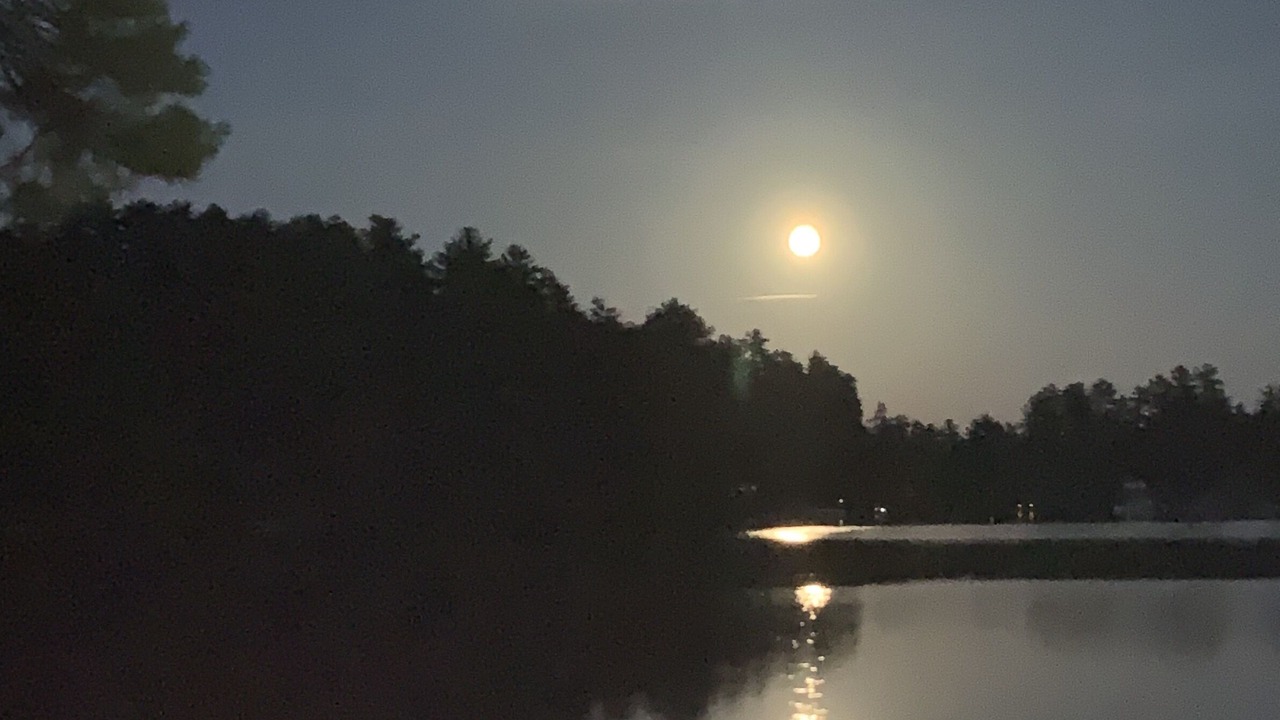 Photo of Outdoor in West Newfield